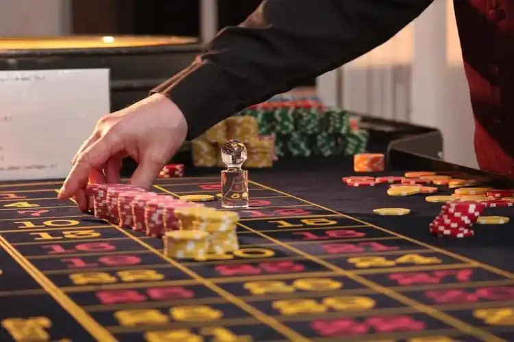 11 bed
